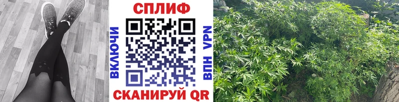 Бошки Шишки сатива  ОМГ ОМГ маркетплейс  Ветлуга 